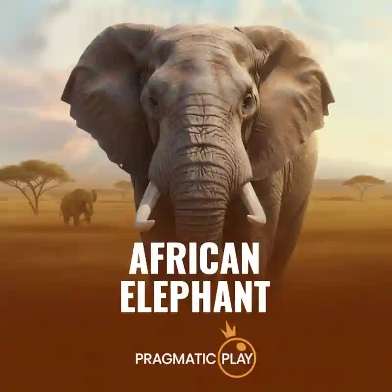 African Elephant™
